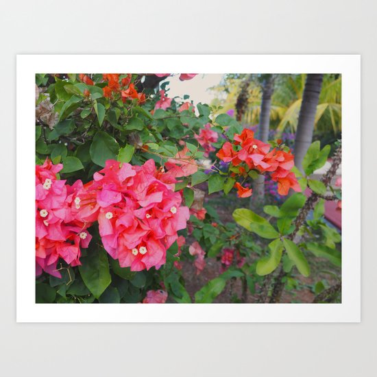 Flowers at Uxmal Art Print