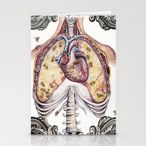 The Bee's Reverie - Anatomical Heart + Lungs Stationery Cards