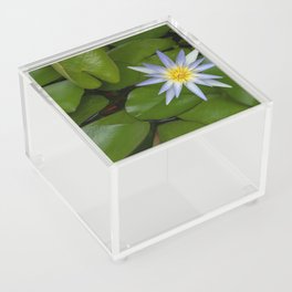 Blue lotus Acrylic Box