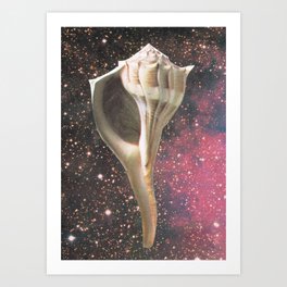 seashell collage - endemic treasure Art Print