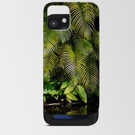 Palm Waterfall iPhone Card Case
