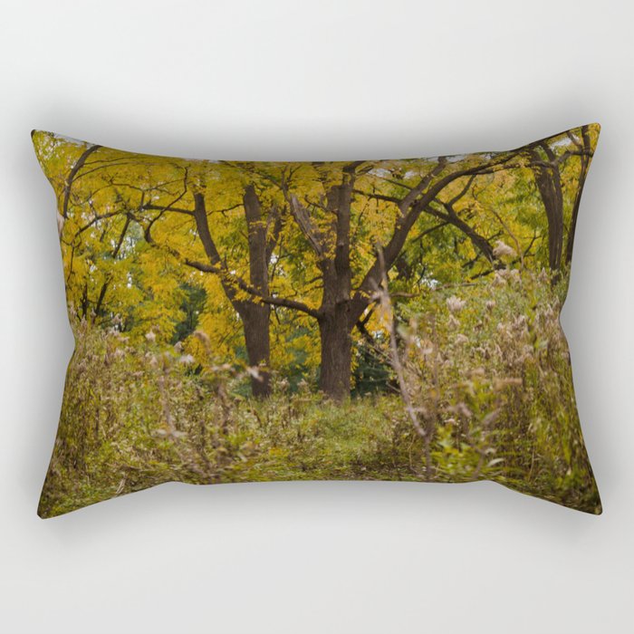 Walk Through Fall Rectangular Pillow