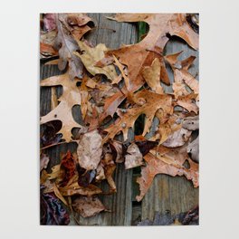 leaves in the rain Poster
