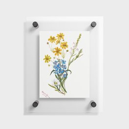 Group of Flowers (1883) by Mary Vaux Walcott Floating Acrylic Print