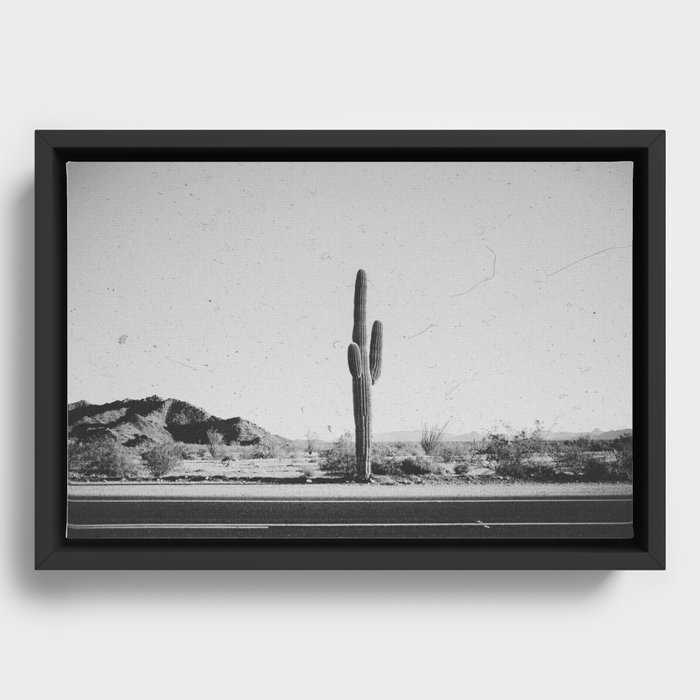 Framed Canvas