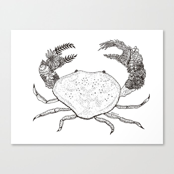 Sea Crab Monochromatic Canvas Print