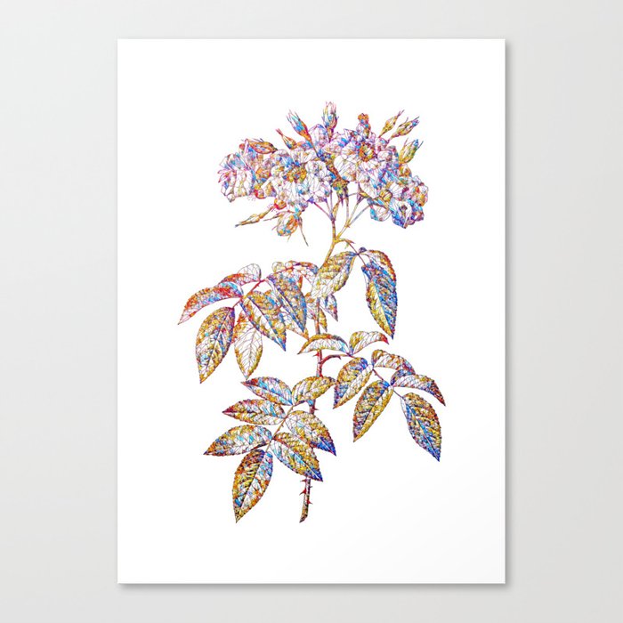 Floral Musk Rose Mosaic on White Canvas Print