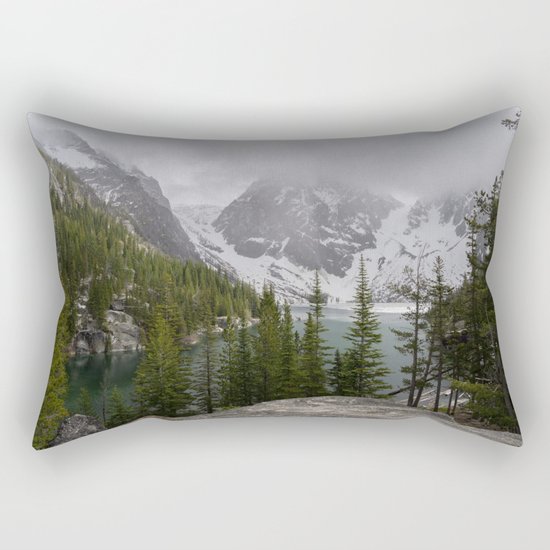 The forgotten Rectangular Pillow