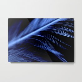 Blue Feather close up Metal Print | Effortless, Blur, Macro, Beauty, Feather, Gravity, Soft, Wing, Vivid, Blue 