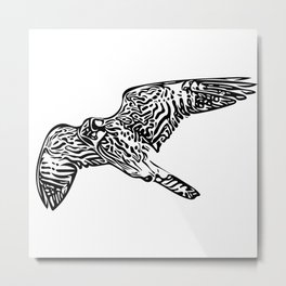 Vintage Hawk In Flight Metal Print