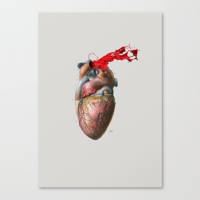 Broken Heart - Fig. 3 Canvas Print
