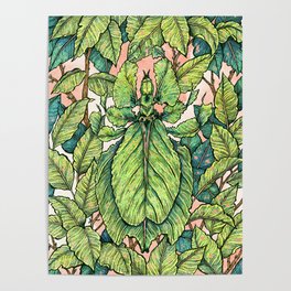 Leaf Mimic Poster
