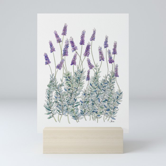 Lavender, Illustration Mini Art Print