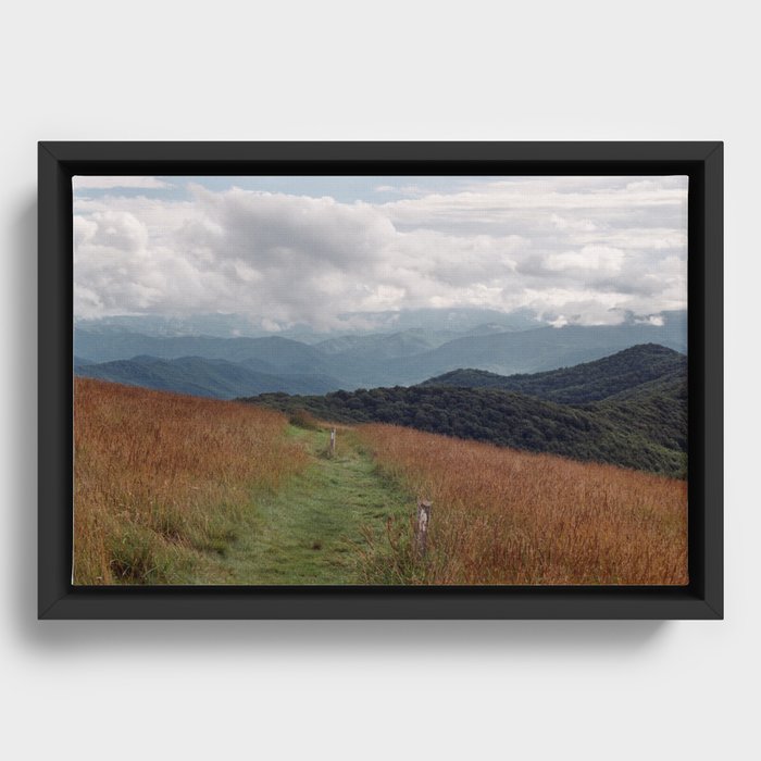 Framed Canvas