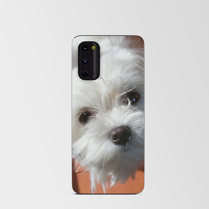 Cute Maltese asking for a treat Android Card Case