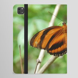 Mexico Photography - Beautiful Orange Butterfly With Black Stripes iPad Folio Case
