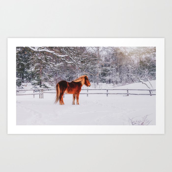 Chestnut Horse in Winter Scene - Matte Version Art Print