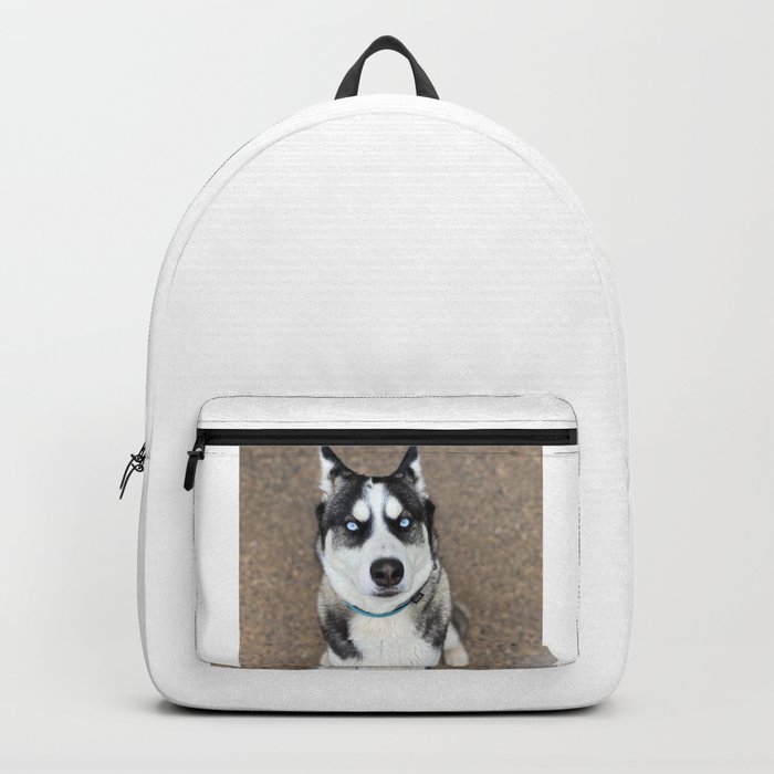 Siberian cheap husky backpack