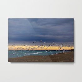 Seagull Sunset Metal Print | Landscape, Photo, Nature, Animal 