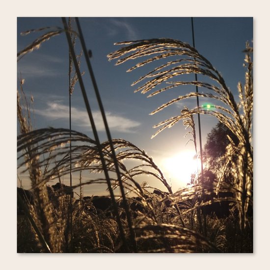 Sunrise Canvas Print