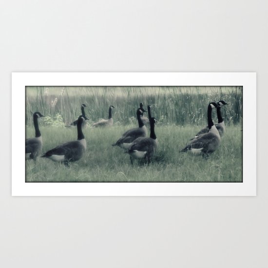 Follow the royal couple Art Print