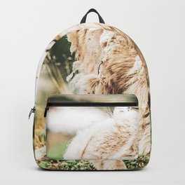 Wild Goat // White Fur Profile Picture Shot at Yosemite National Park Backpack
