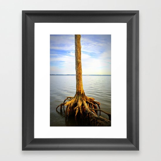 Solitude Framed Art Print