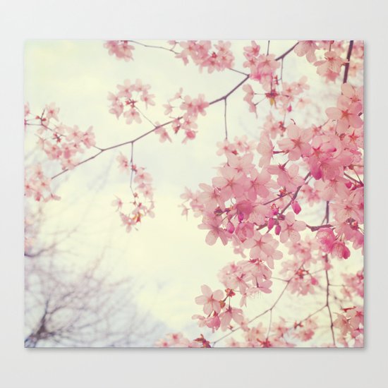 Dreams In Pink Canvas Print