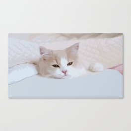 omochi cat open eyes illustrates version  Canvas Print