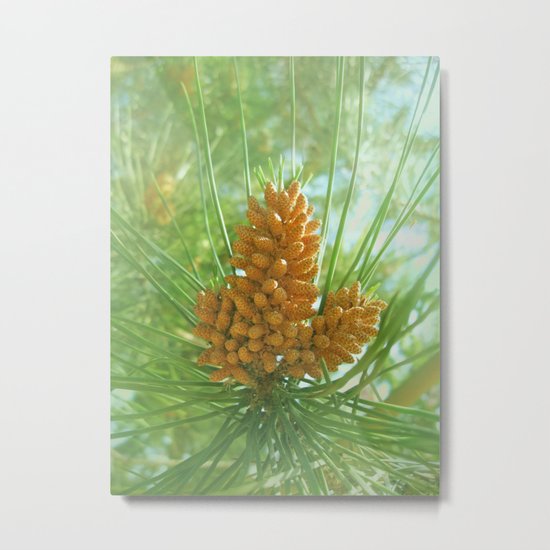 beginning Metal Print