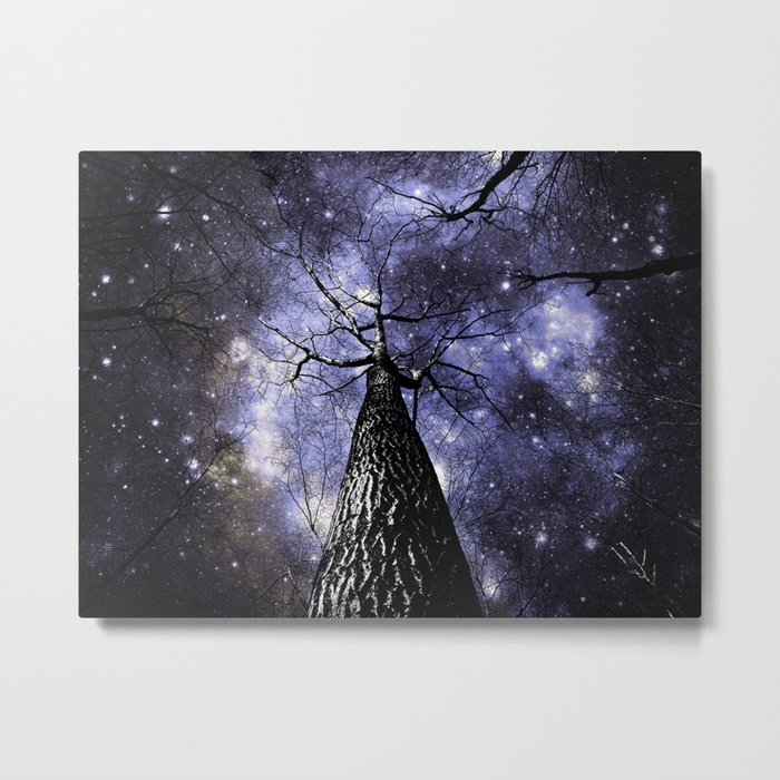 Wintry Trees Midnight Blue Galaxy Skies Metal Print