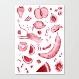 CATTO fruit Canvas Print