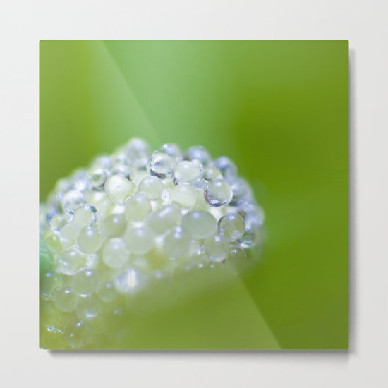 SERIES »MICROPEARLS« II Metal Print