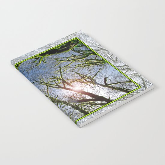 RAIN FOREST MAPLES REACHING FOR THE SKY Notebook