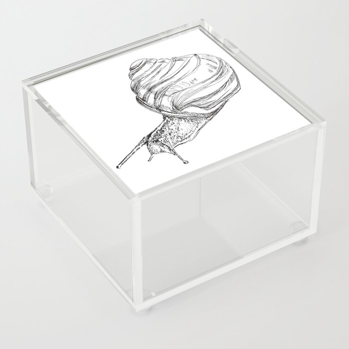 Snail Sketch Acrylic Box