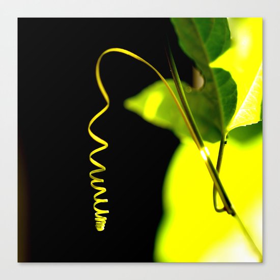 Spring! Canvas Print