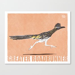 Retro-Modern bird collection, modern Greater Roadrunner Canvas Print