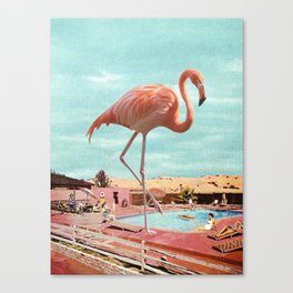 Flamingo on Holiday Canvas Print