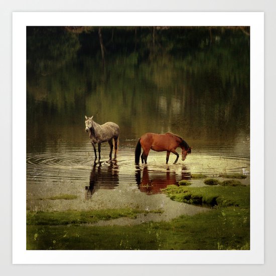 Wild Horses Art Print