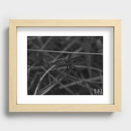 spider on a leaf Recessed Framed Print