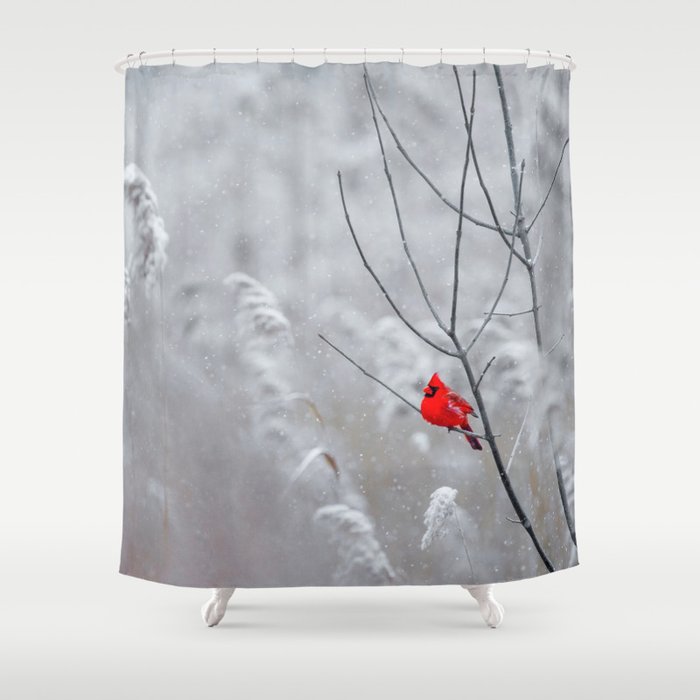 Red Robin Winter Snow Color Shower Curtain By Nocolordesigns