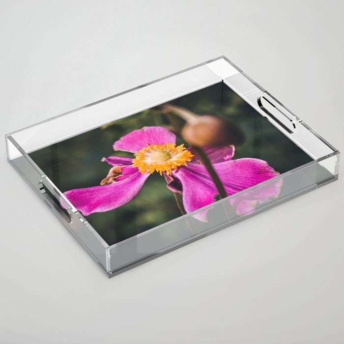 Magenta Anemone Bloom Acrylic Tray