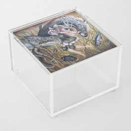 Pond Fairy Acrylic Box