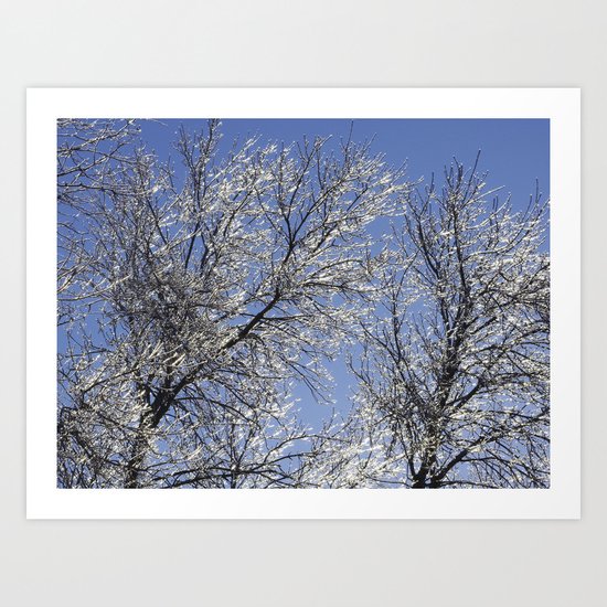 Sparkling Iced Branches Art Print
