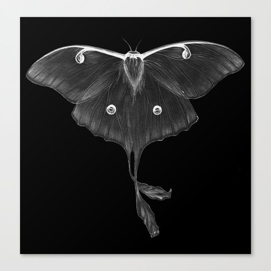 Luminescence Canvas Print