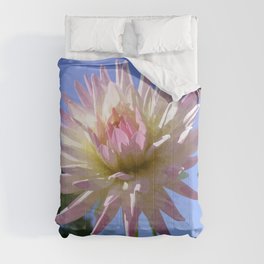 Pink and vanilla cactus dahlia Comforter
