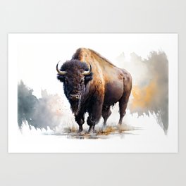 Buffalo  Art Print