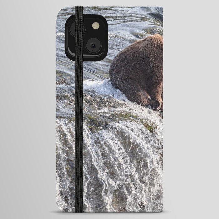 Young grizzly bear sits at waterfall iPhone Wallet Case
