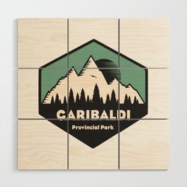 Garibaldi Provincial Park Wood Wall Art