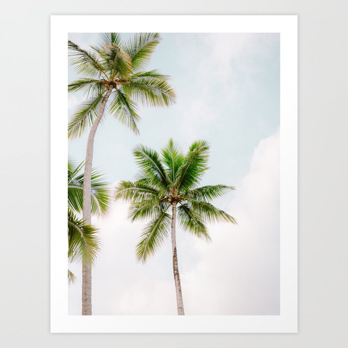 For the love of palm trees | Dominican Republic travel photography print | Summer time Art Print